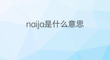 naija是什么意思 naija的中文翻译、读音、例句