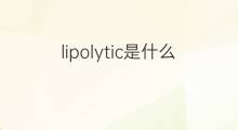 lipolytic是什么意思 lipolytic的中文翻译、读音、例句