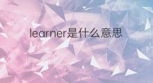 learner是什么意思 learner的中文翻译、读音、例句