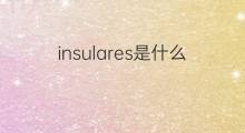 insulares是什么意思 insulares的中文翻译、读音、例句