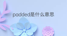 padded是什么意思 padded的中文翻译、读音、例句