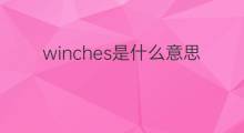 winches是什么意思 winches的中文翻译、读音、例句