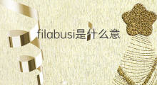filabusi是什么意思 filabusi的中文翻译、读音、例句