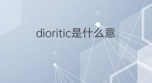 dioritic是什么意思 dioritic的中文翻译、读音、例句