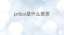 priboi是什么意思 priboi的中文翻译、读音、例句