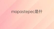 mapastepec是什么意思 mapastepec的中文翻译、读音、例句