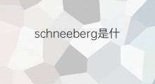 schneeberg是什么意思 schneeberg的中文翻译、读音、例句