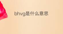 bhvg是什么意思 bhvg的中文翻译、读音、例句