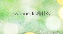 swannecks是什么意思 swannecks的中文翻译、读音、例句