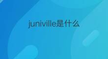 juniville是什么意思 juniville的中文翻译、读音、例句