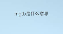 mgtb是什么意思 mgtb的中文翻译、读音、例句