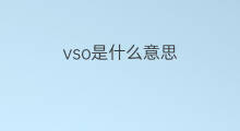 vso是什么意思 vso的中文翻译、读音、例句