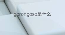 gorongosa是什么意思 gorongosa的中文翻译、读音、例句