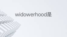 widowerhood是什么意思 widowerhood的中文翻译、读音、例句