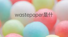 wastepaper是什么意思 wastepaper的中文翻译、读音、例句