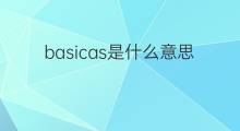 basicas是什么意思 basicas的中文翻译、读音、例句