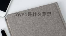toyed是什么意思 toyed的中文翻译、读音、例句