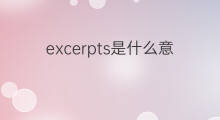 excerpts是什么意思 excerpts的中文翻译、读音、例句