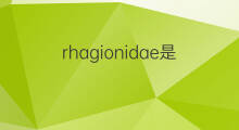 rhagionidae是什么意思 rhagionidae的中文翻译、读音、例句