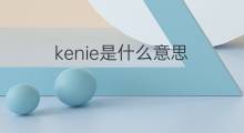 kenie是什么意思 kenie的中文翻译、读音、例句