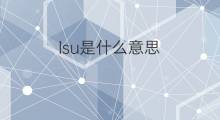 lsu是什么意思 lsu的中文翻译、读音、例句