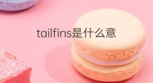 tailfins是什么意思 tailfins的中文翻译、读音、例句
