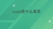 vuze是什么意思 vuze的中文翻译、读音、例句