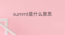 summt是什么意思 summt的中文翻译、读音、例句