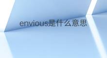 envious是什么意思 envious的中文翻译、读音、例句