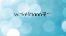 winkelmann是什么意思 winkelmann的中文翻译、读音、例句