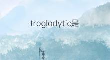 troglodytic是什么意思 troglodytic的中文翻译、读音、例句