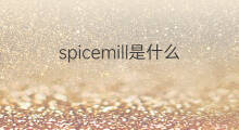 spicemill是什么意思 spicemill的中文翻译、读音、例句