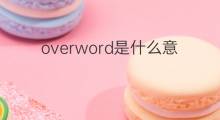 overword是什么意思 overword的中文翻译、读音、例句