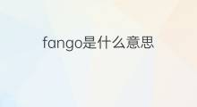 fango是什么意思 fango的中文翻译、读音、例句