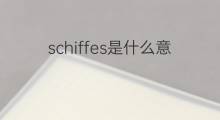 schiffes是什么意思 schiffes的中文翻译、读音、例句