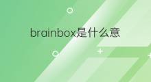 brainbox是什么意思 brainbox的中文翻译、读音、例句