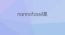 nannofossil是什么意思 nannofossil的中文翻译、读音、例句