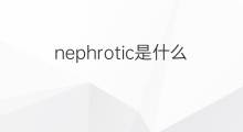 nephrotic是什么意思 nephrotic的中文翻译、读音、例句