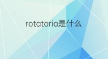 rotatoria是什么意思 rotatoria的中文翻译、读音、例句