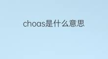 choas是什么意思 choas的中文翻译、读音、例句