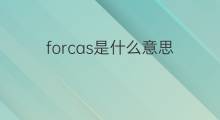 forcas是什么意思 forcas的中文翻译、读音、例句