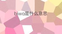 biwa是什么意思 biwa的中文翻译、读音、例句