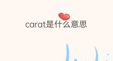 carat是什么意思 carat的中文翻译、读音、例句