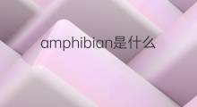 amphibian是什么意思 amphibian的中文翻译、读音、例句