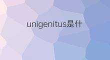 unigenitus是什么意思 unigenitus的中文翻译、读音、例句