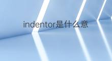 indentor是什么意思 indentor的中文翻译、读音、例句