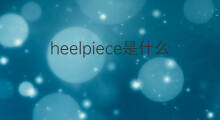 heelpiece是什么意思 heelpiece的中文翻译、读音、例句