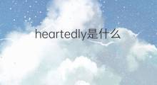 heartedly是什么意思 heartedly的中文翻译、读音、例句