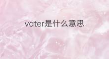 vater是什么意思 vater的中文翻译、读音、例句