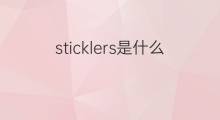 sticklers是什么意思 sticklers的中文翻译、读音、例句